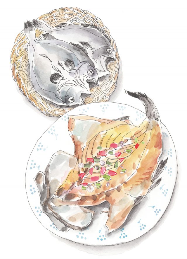 말린 생선의 마법 - 하퍼스 바자 코리아 2017년 3월호