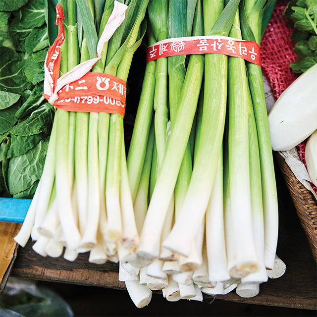 ‘대파’라고 외쳤으나 알고 보니 풋마늘