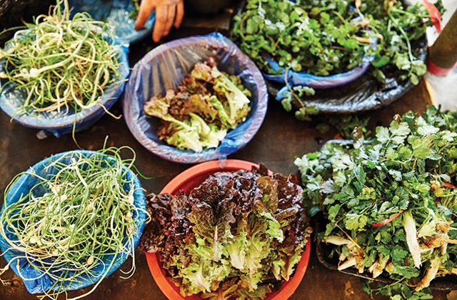 제주 오일장 ‘오가닉 존’에서 마주친 생기 도는 봄나물