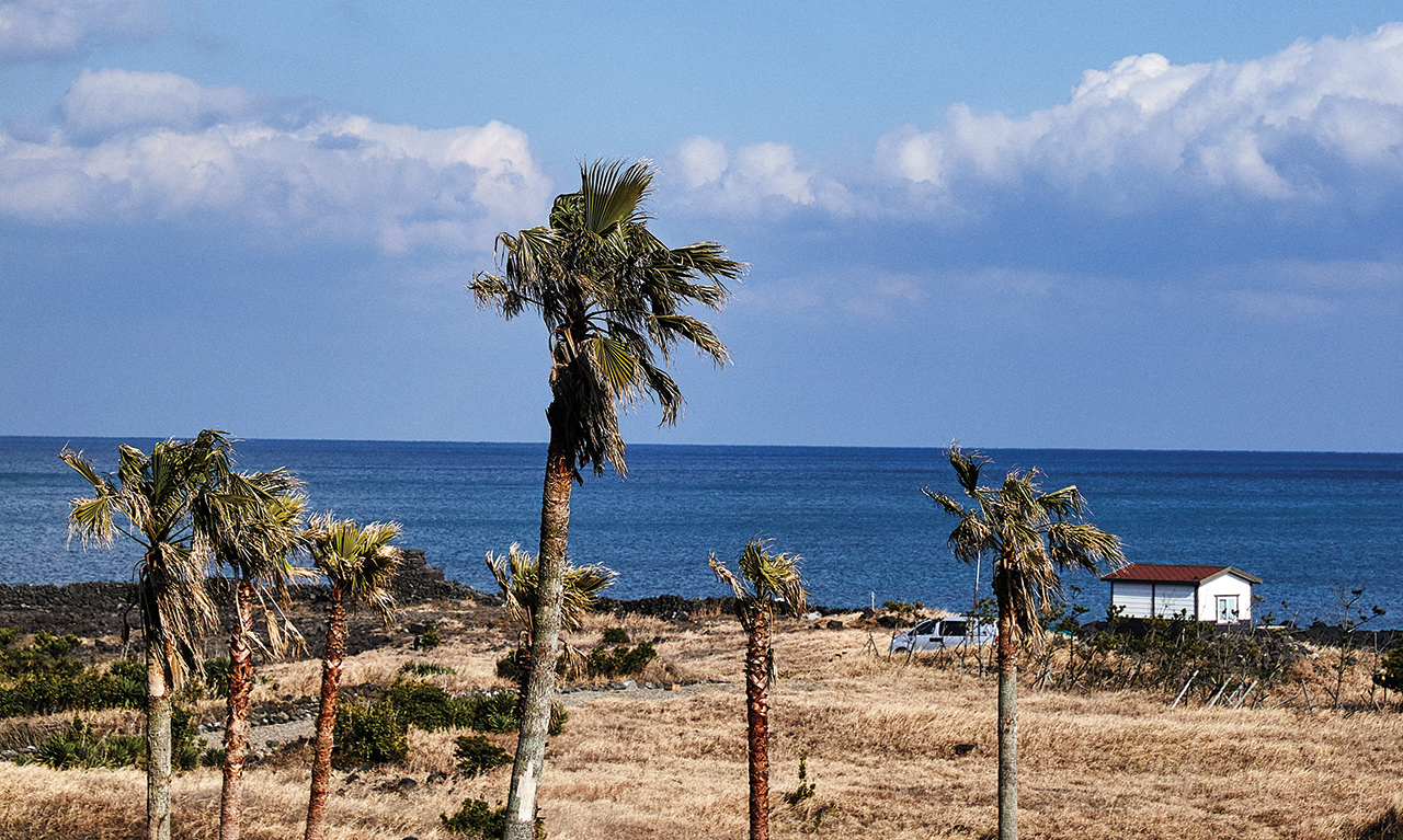 제주 표선에 위치한 해비치 호텔앤드리조트 앞의 바닷가