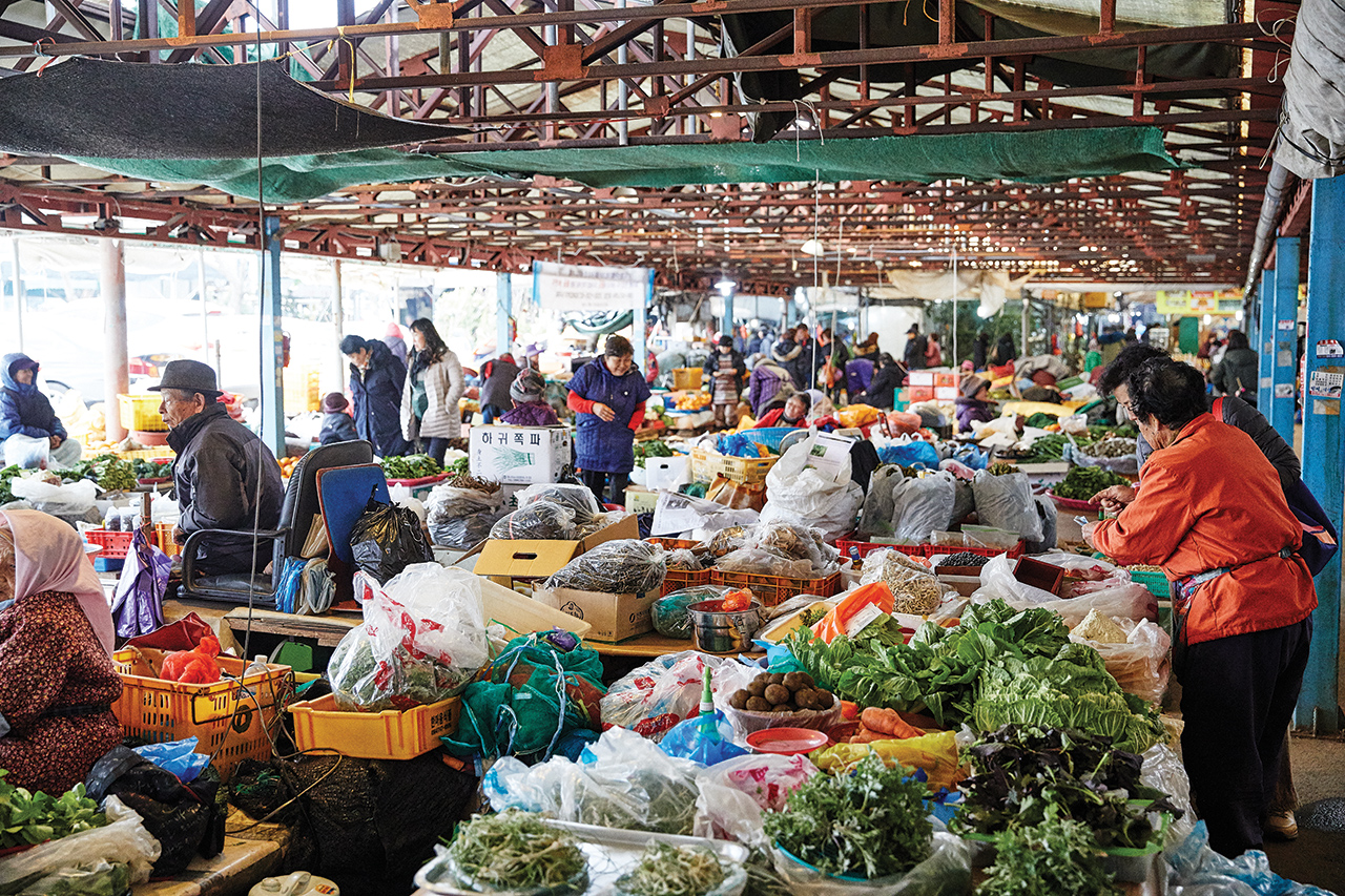 살아 있는 ‘식재료 박물관’ 같았던 제주 오일장