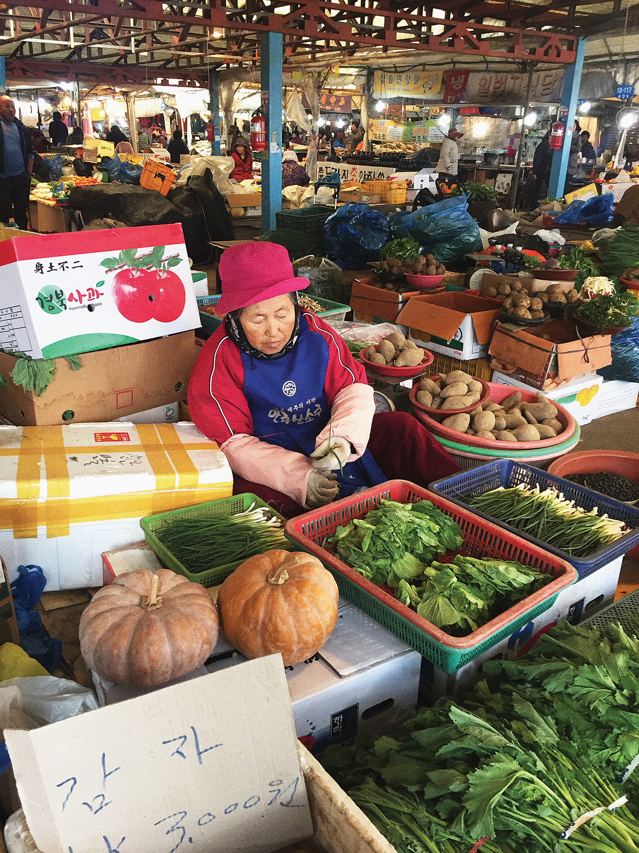 모자, 점퍼, 팔 토시까지 ‘올 핑크’로 멋을 낸 제주의 ‘힙 그랜마’