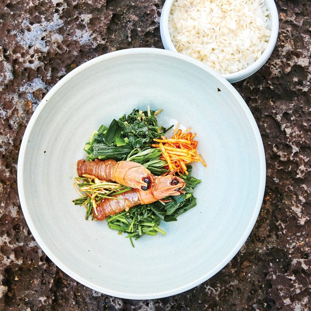 싱그러운 청보리 비빔밥