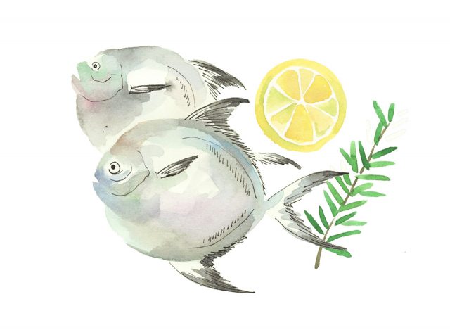 버터피시, 병어 - 하퍼스 바자