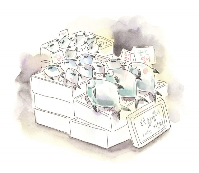 버터피시, 병어 - 하퍼스 바자