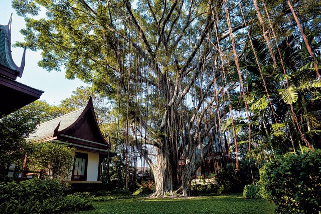 호텔 스파 - 하퍼스 바자