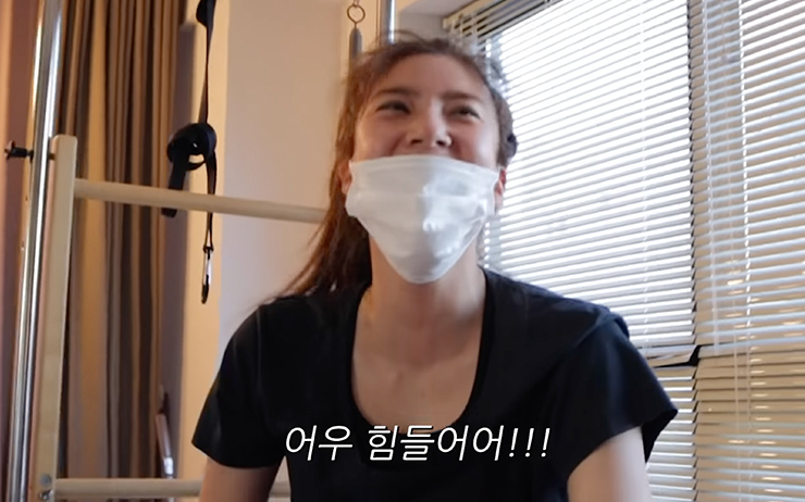 YouTube @담비손