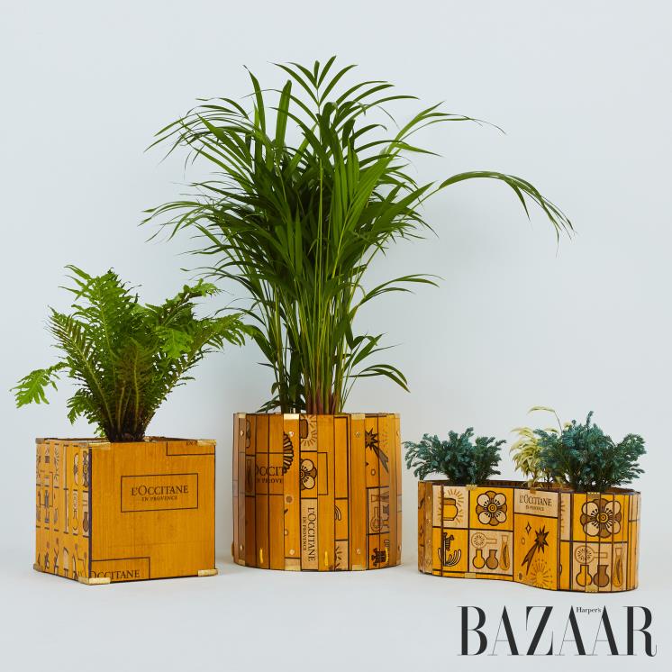 Code가 쇼핑백으로 만든 화분.