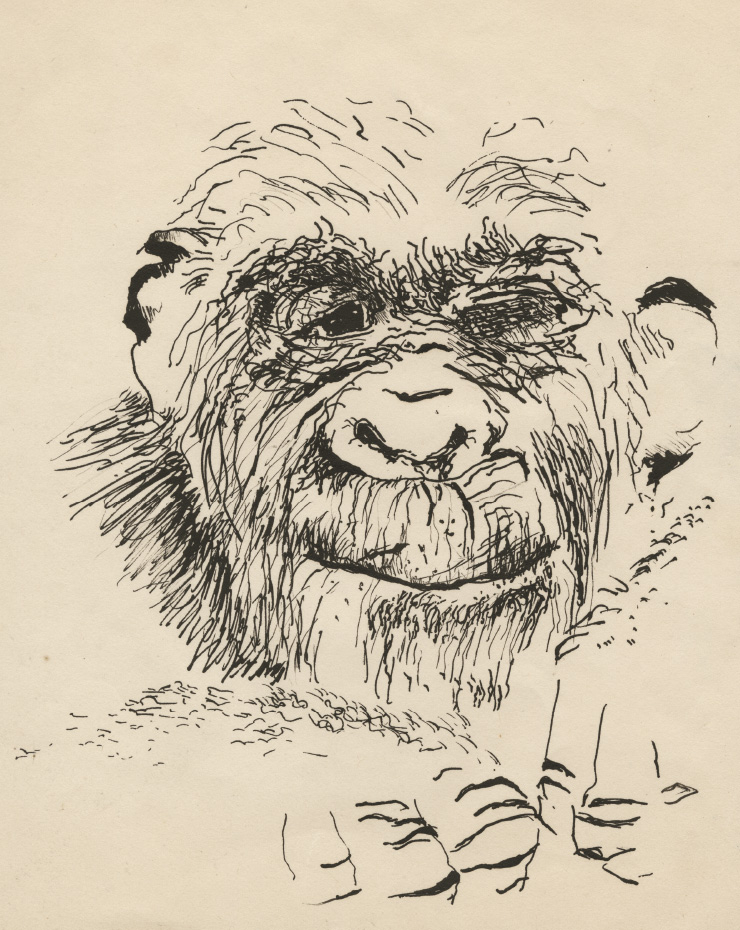 Paul McCarthy, ‘Self-Portrait’, 1963, Ink on paper, 27.9x21.6 cm, Courtesy of the artist and Hauser & Wirth. ©Paul McCarthy