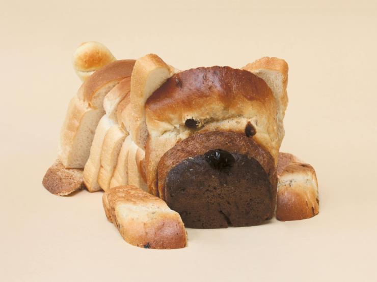 Brad Pet, 2021