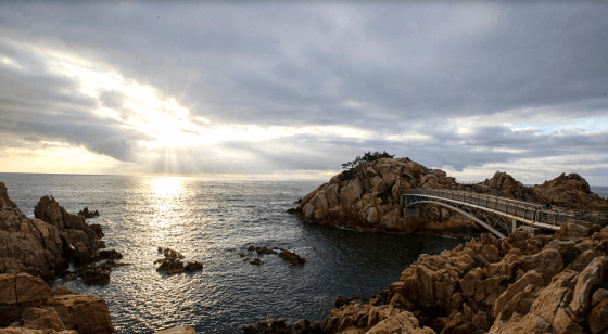 이미지 출처: 울산시 대왕암공원 홈페이지(daewangam.donggu.ulsan.kr)