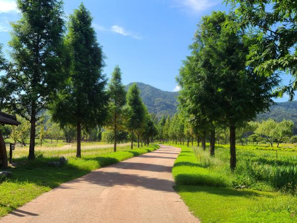 창포원, 사진/ 거창군 홈페이지