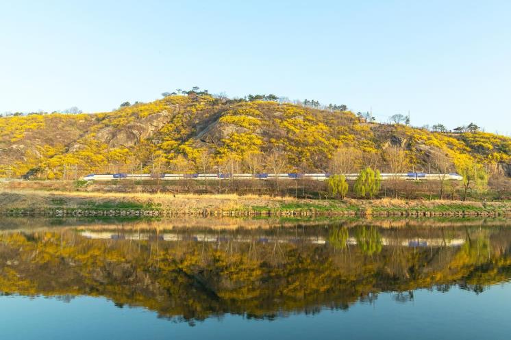 서울에서 가장 먼저 봄을 만난다는 응봉산