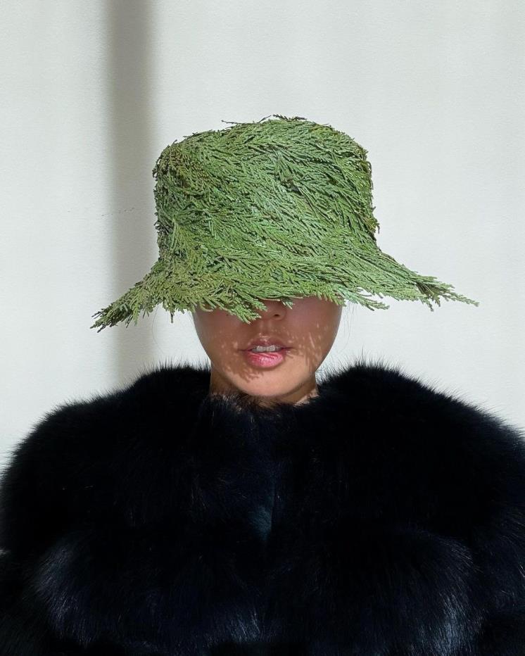 사진/ @stellaaharrylee