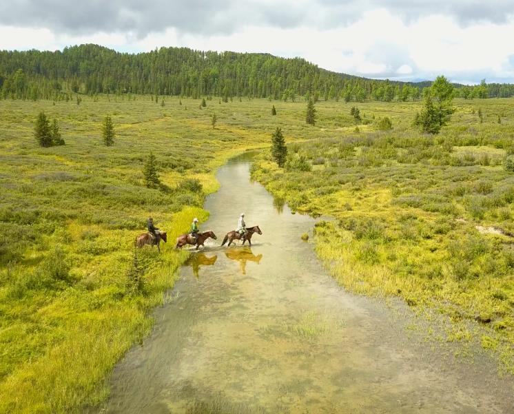 사진/몽골 메이트 공식 홈페이지