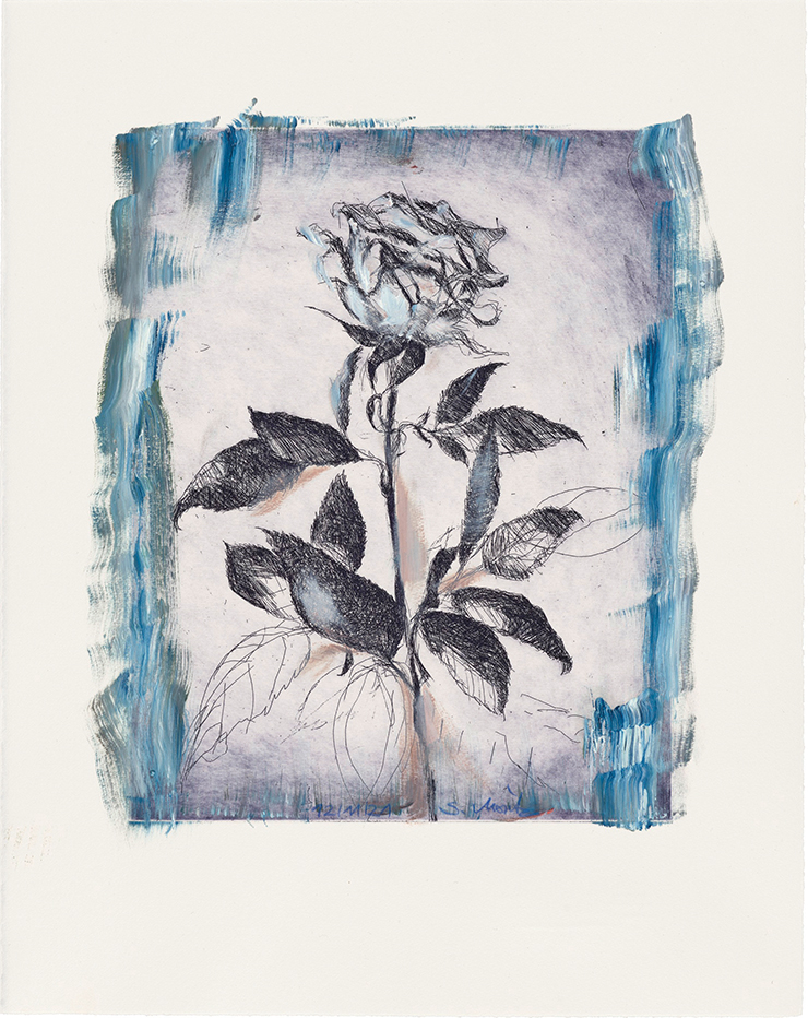 <Rose 12/11/21>, 2021, Oil on etching, 47.5x37.5cm.