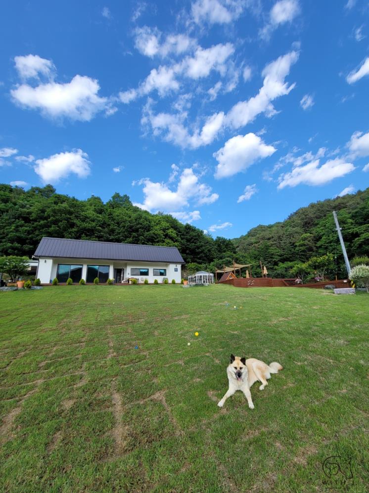 사진/ 위드제이펜션 SNS