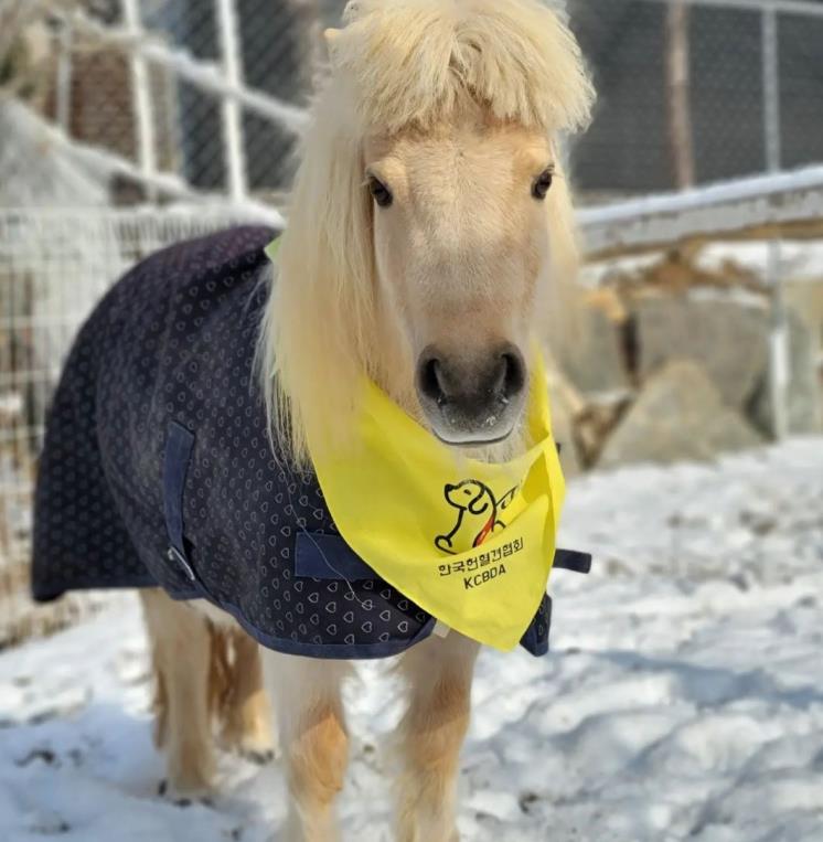 사진/ 위드제이펜션 SNS