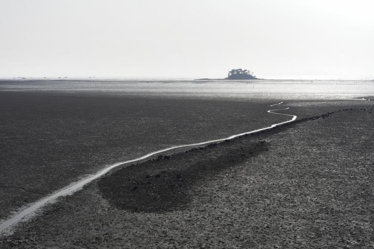 충청남도 서천 갯벌 (사진 Heui Jong Kim - flickr) / 뉴스펭귄