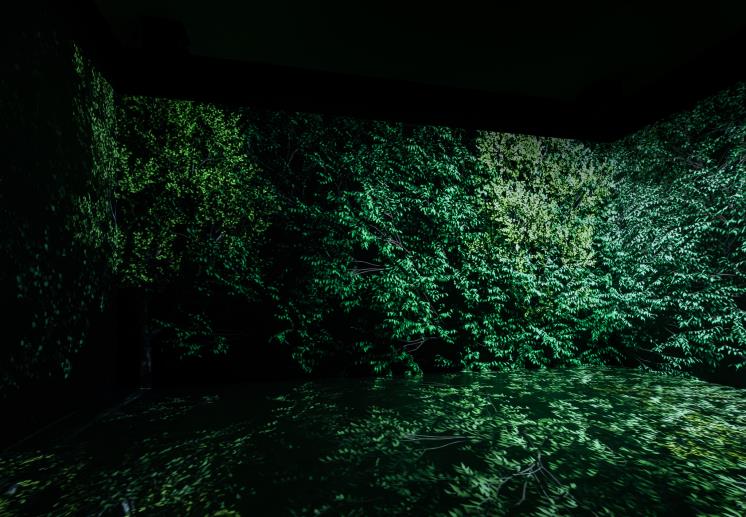 Yiyun Kang Finite 2021 Immersive audio-visual installation/ 5 projections, 12-channel audio duration: 6' 20″ Courtesy of the artist & PKM Gallery.
