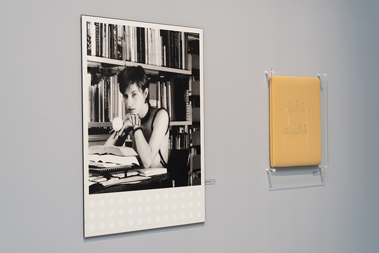 Rosemarie Trockel. All works with the additional support of Spruth Magers; Institut fur Auslandsbeziehungen – ifa Photo by: Marco Cappelletti