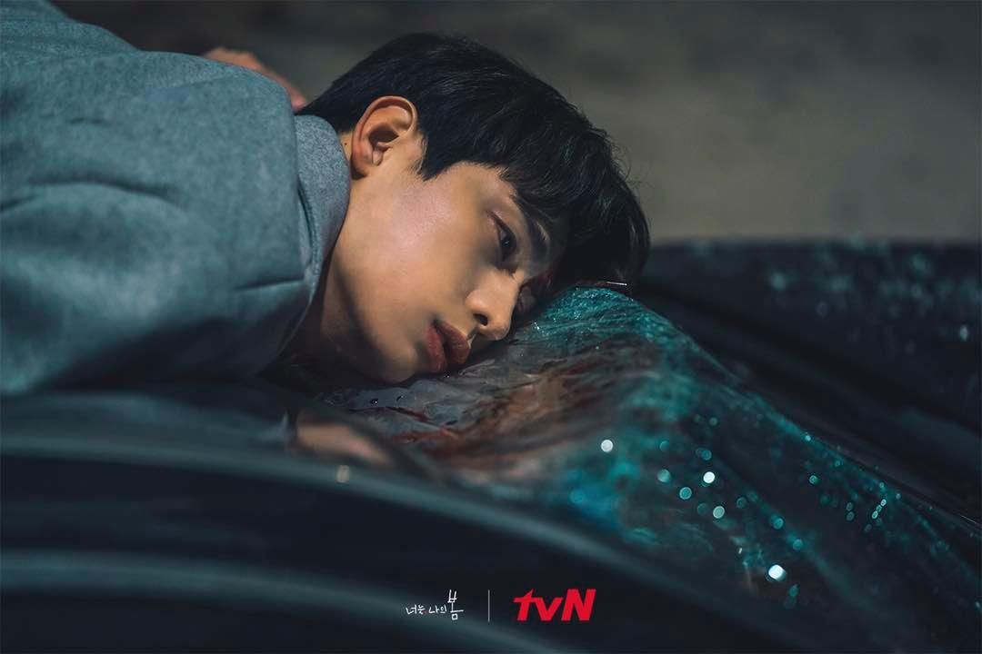 tvN <너는 나의 봄>