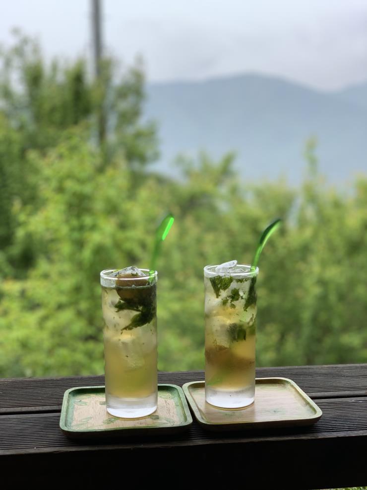 모히토에서 지리산을!
