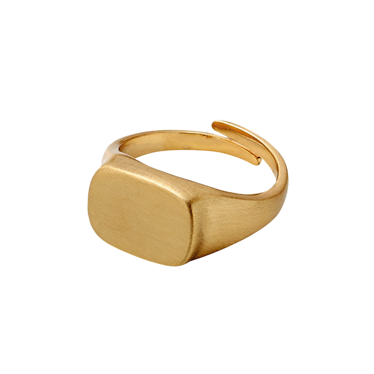 볼드한 반지는 9만5천원으로 Pilgrim