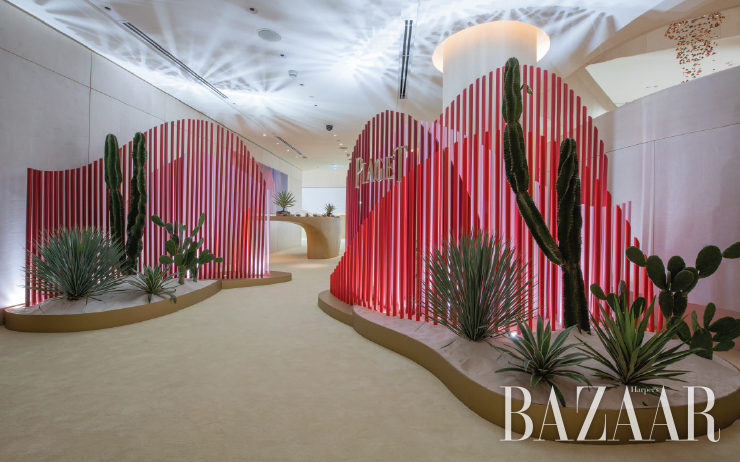 다양한 선인장으로 현실감 넘치는 오아시스를 구현한 이벤트장. 