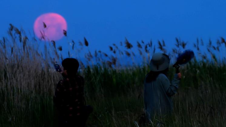 사진/ <수라> 스틸 사진, 스튜디오 에이드