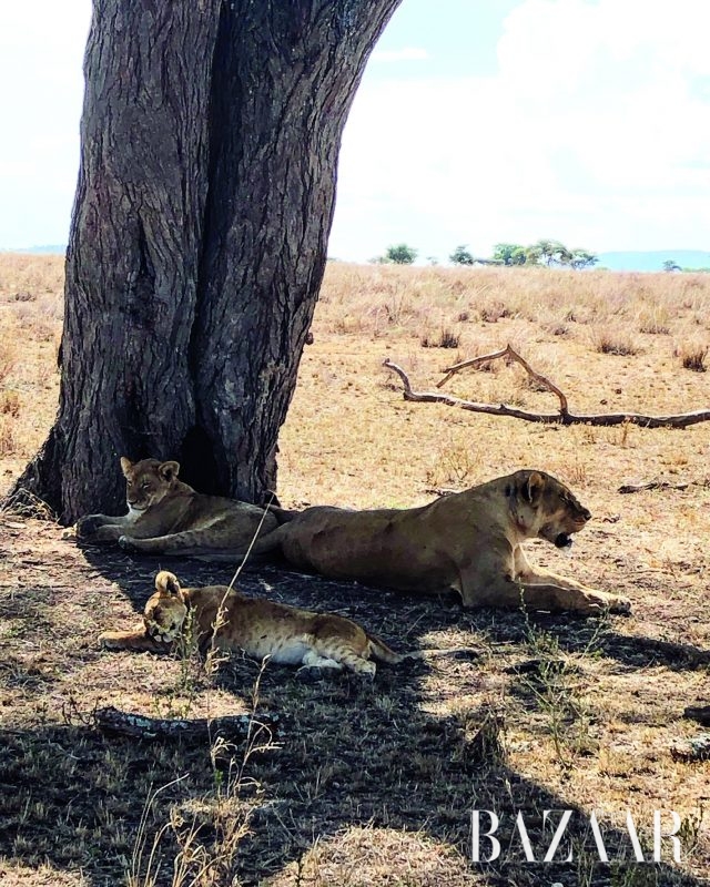 잔지바르 파크 하얏트 룸에서 보이는 해안가 모습.